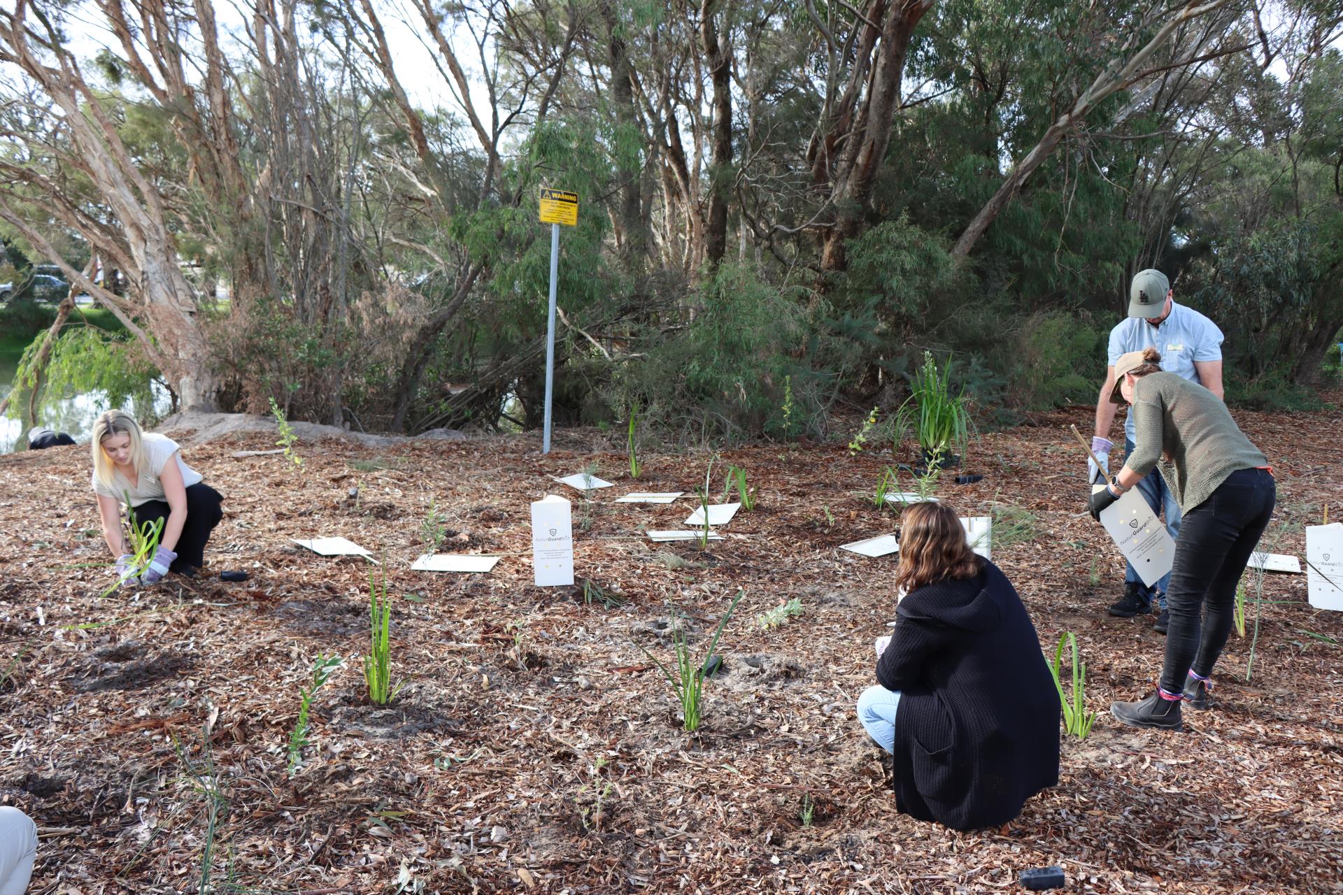 People planting trees