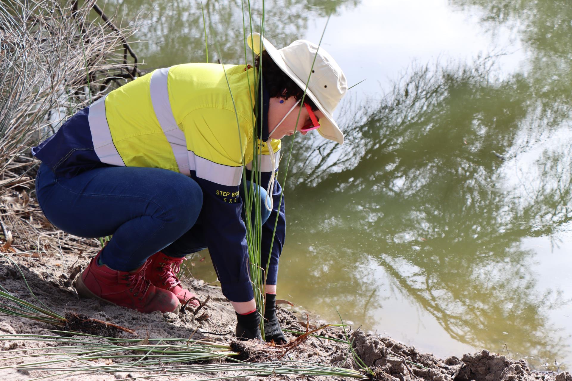 Person planting plant near river