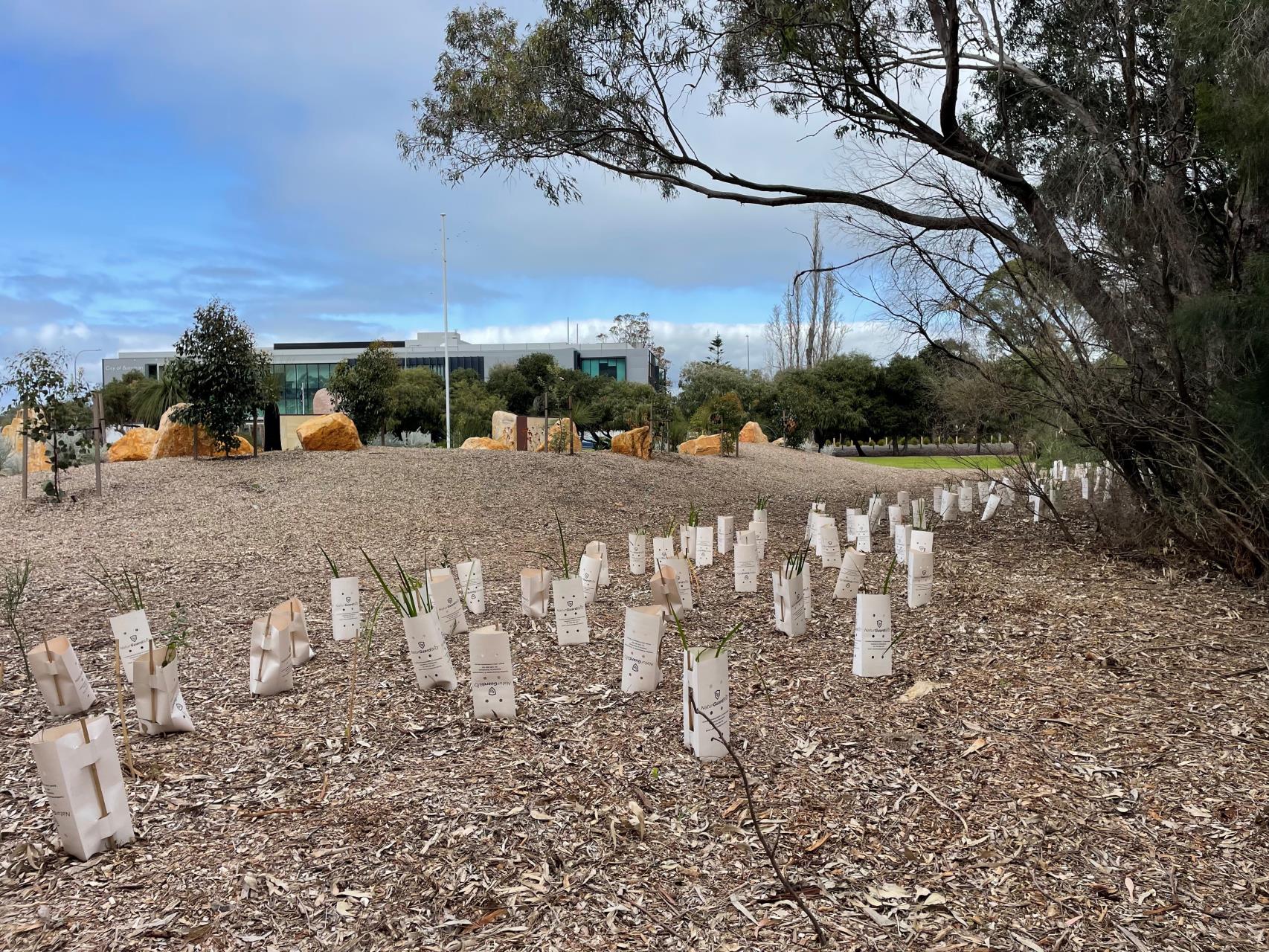 Plants growing along riverbank