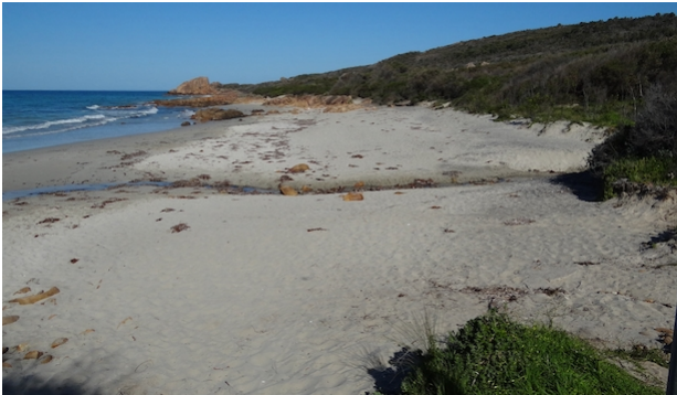 LEEUWIN NATURALISTE REGION ITS GEOLOGY AND LANDFORMS