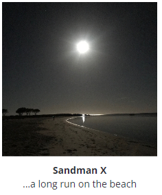 Sandman X