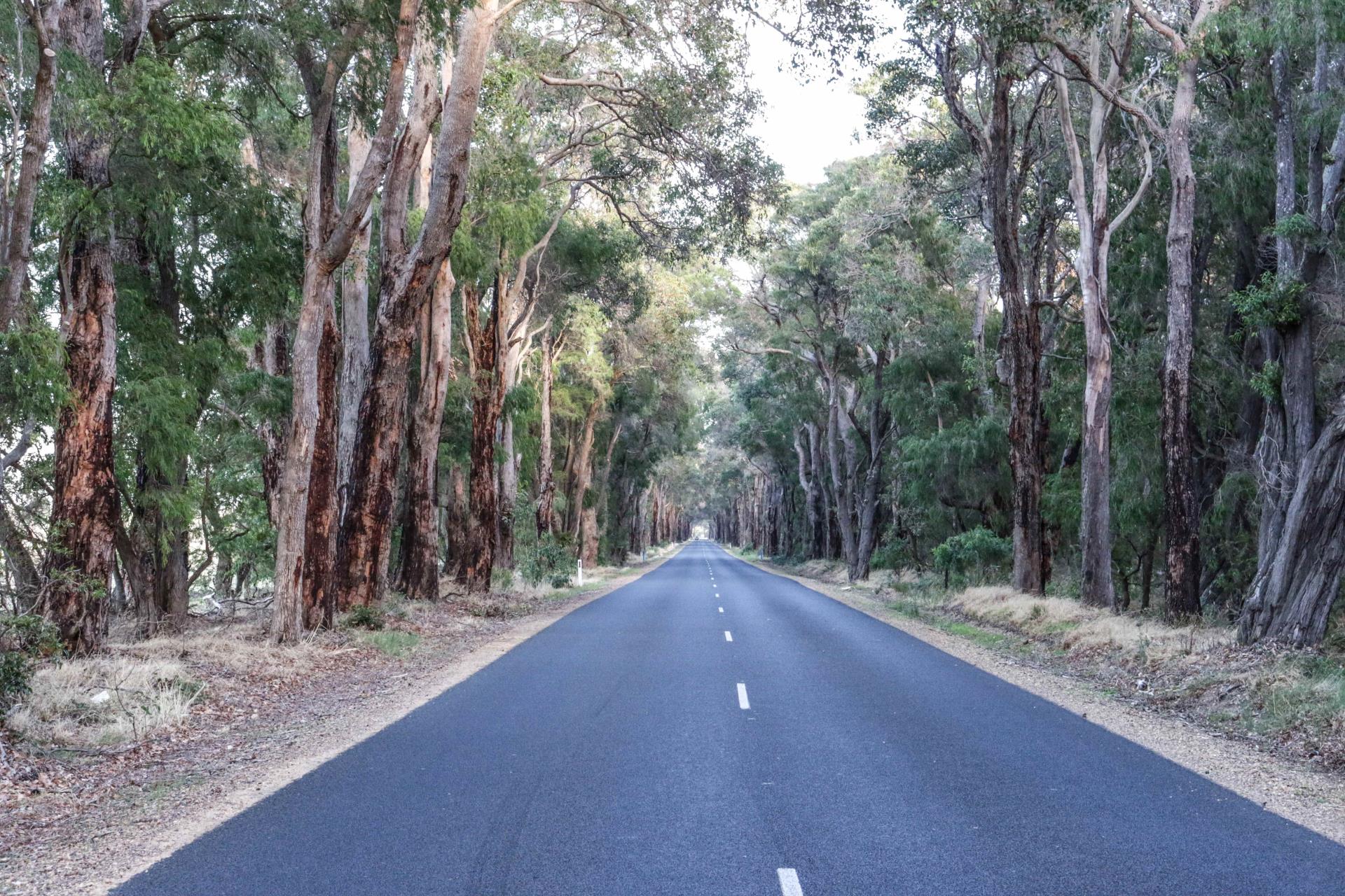 Vasse Yallingup Siding Road - Proposed Works