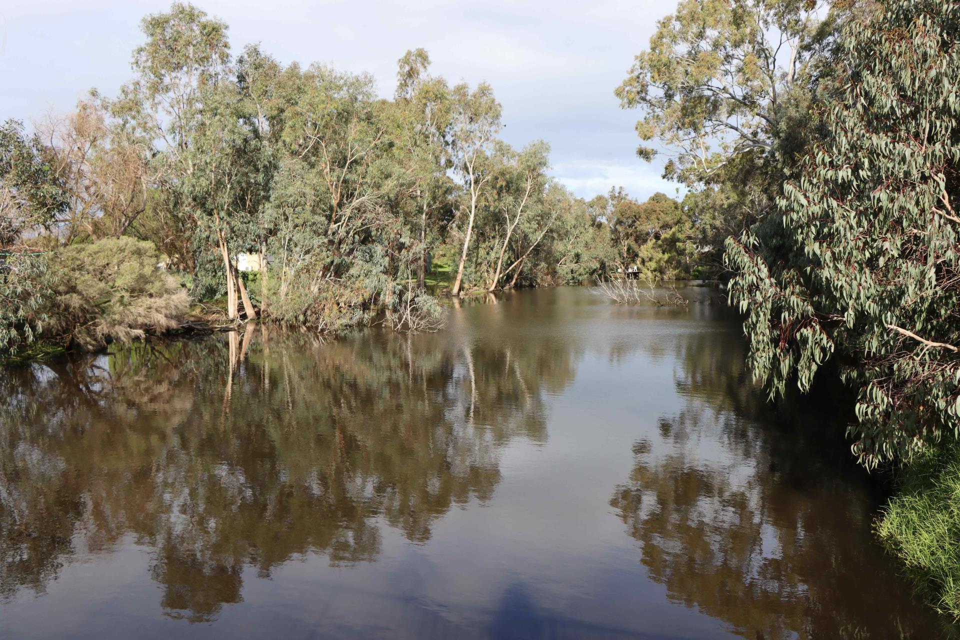 Stage 3 of Lower Vasse River sediment removal program awarded to BCP Group