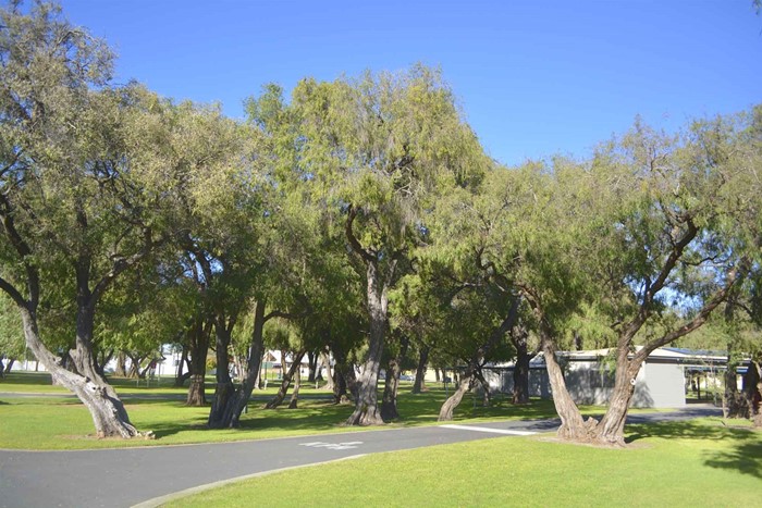 Image Gallery - Busselton Jetty Tourist Park