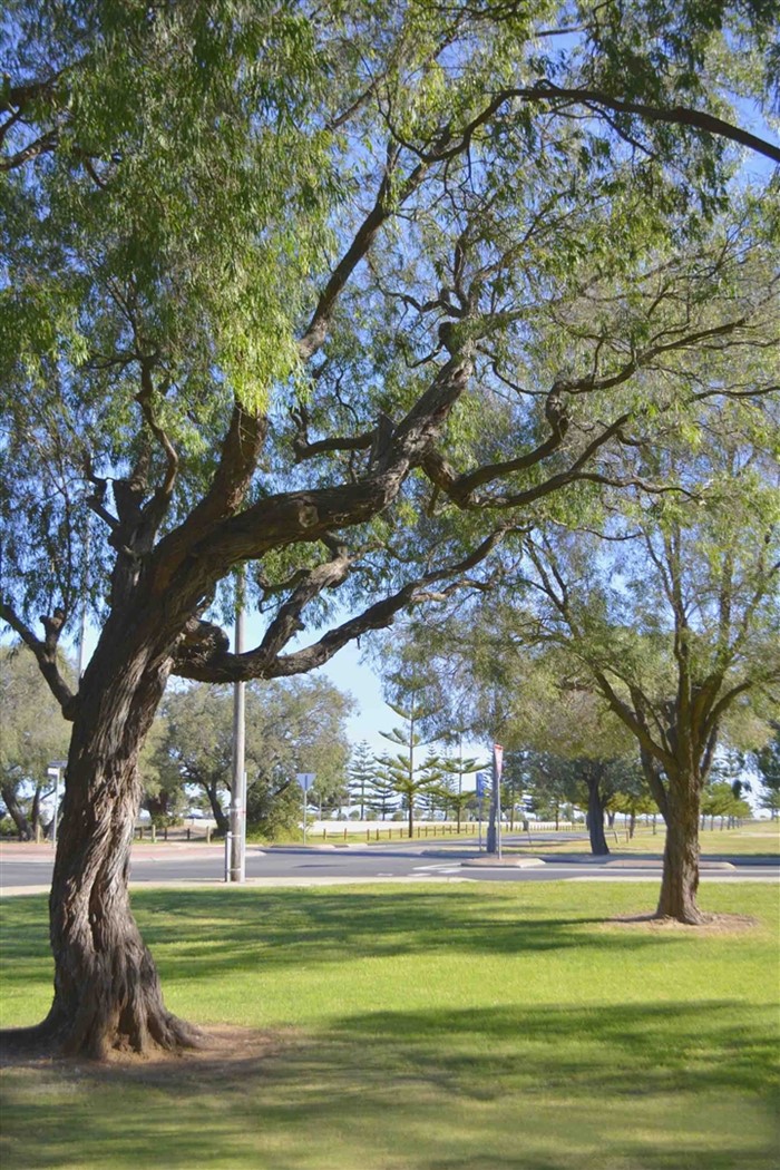 Image Gallery - Busselton Jetty Tourist Park