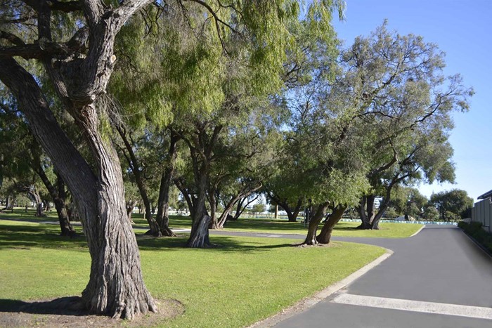 Image Gallery - Busselton Jetty Tourist Park