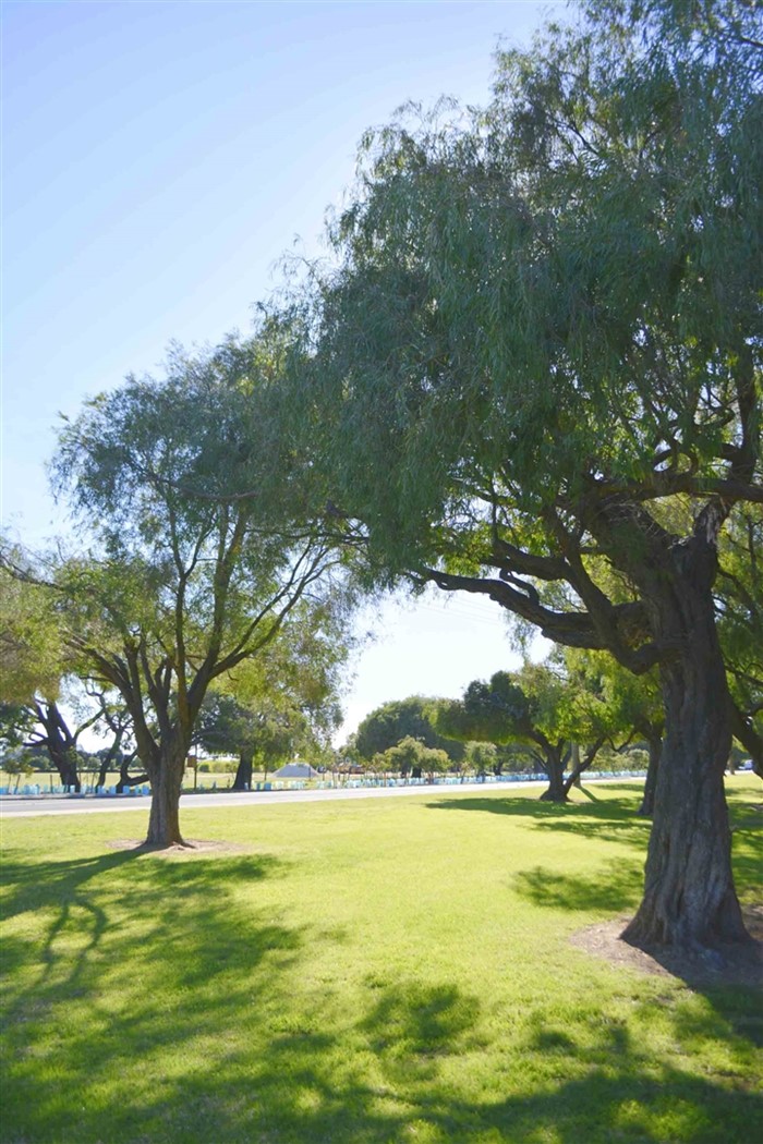 Image Gallery - Busselton Jetty Tourist Park