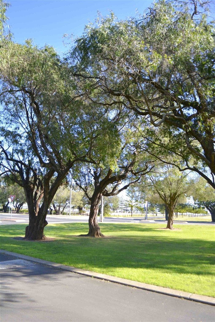 Image Gallery - Busselton Jetty Tourist Park_accommodation in